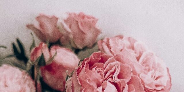 Poshmark banner for @rose